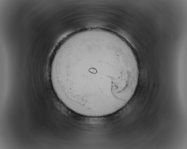 X0000086780832200705041526