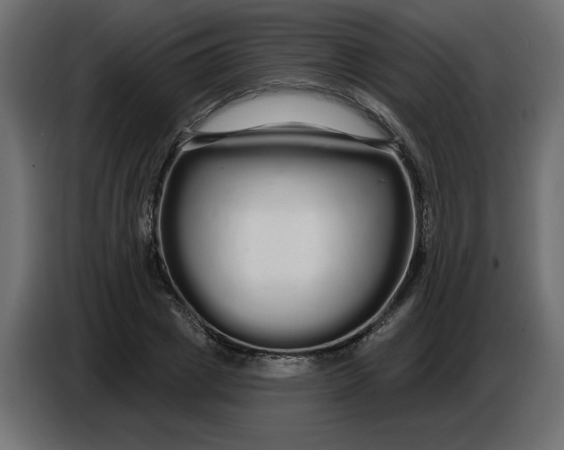 X0000086780833200705041526