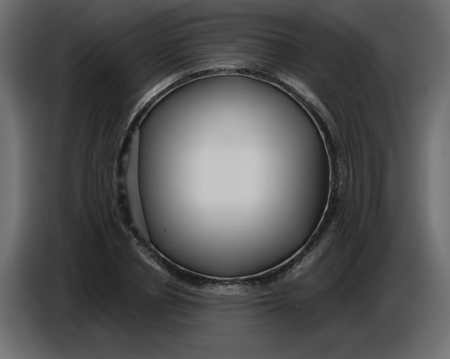 X0000086780834200705041526