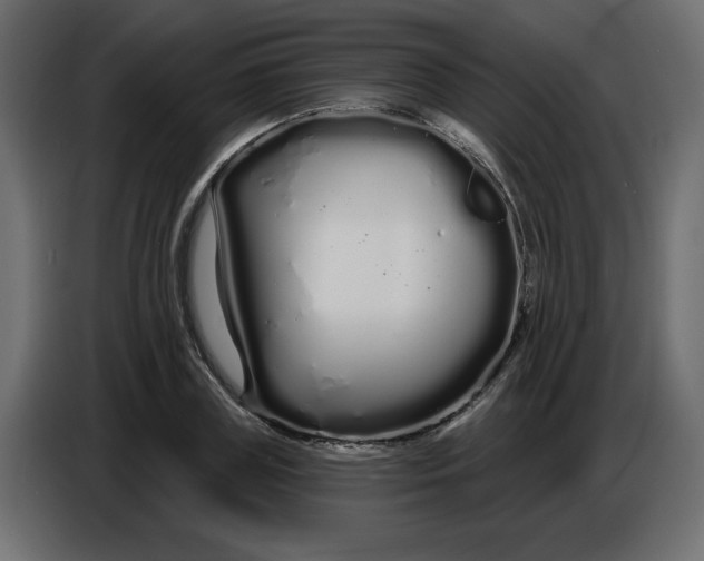 X0000086780835200705041526