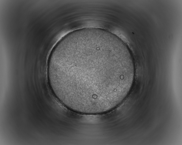 X0000086780836200705041526