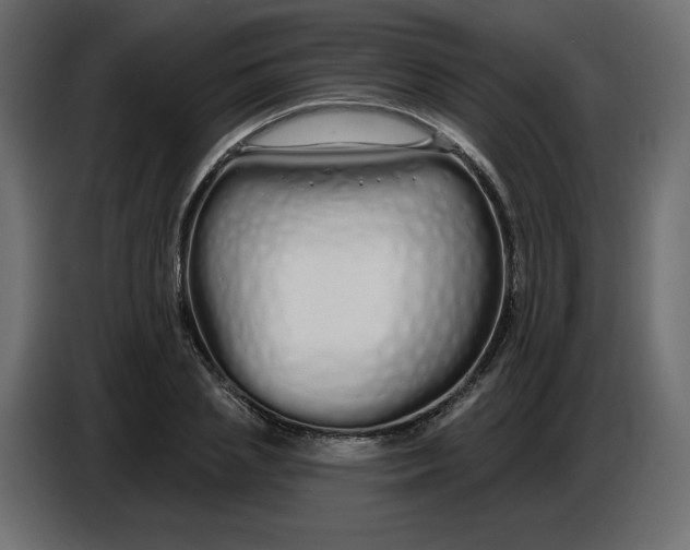 X0000086780837200705041526