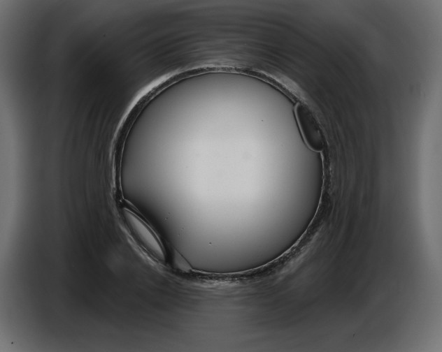 X0000086780838200705041526