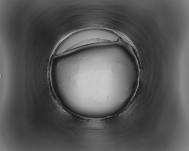 X0000086780839200705041526