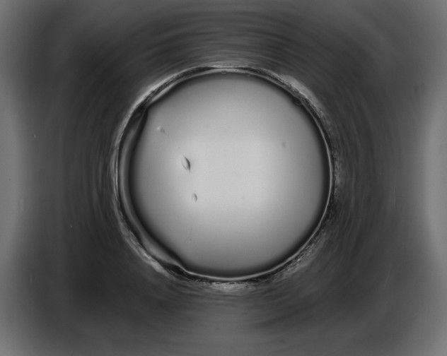 X0000086780840200705041526