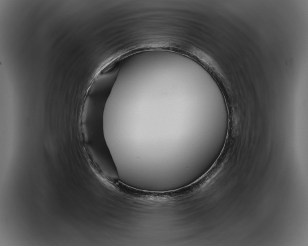 X0000086780842200705041526