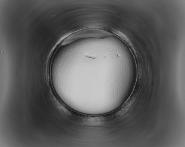 X0000086780843200705041526