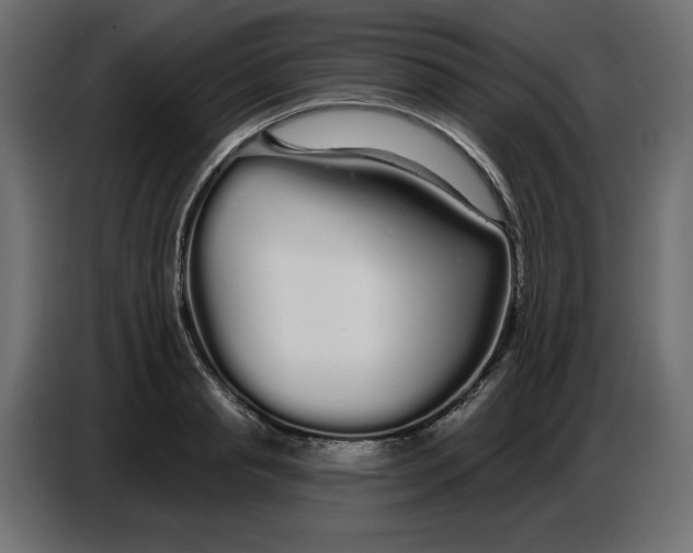 X0000086780845200705041526