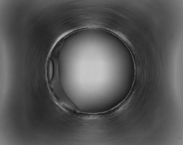 X0000086780846200705041526