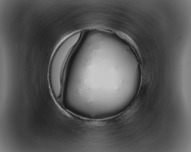 X0000086780847200705041526