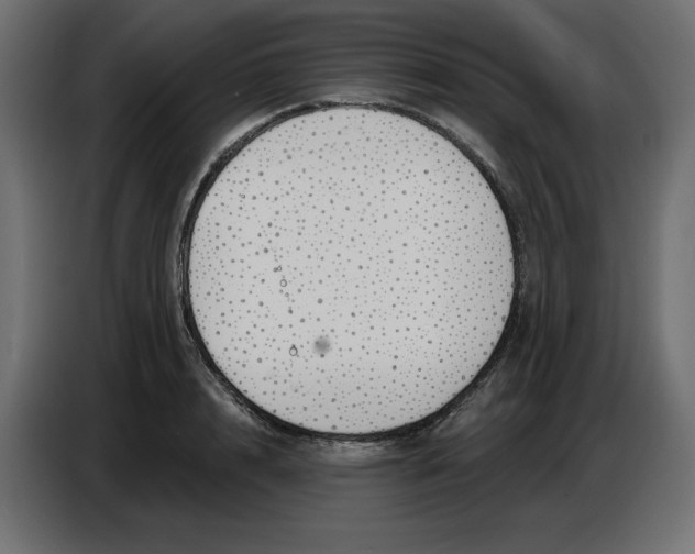 X0000086780848200705041526