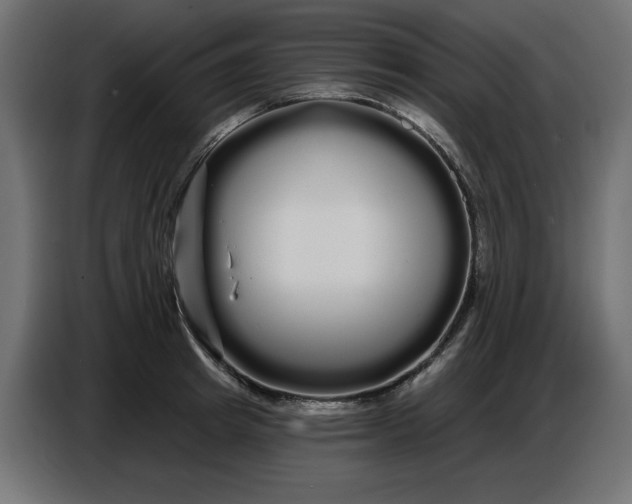 X0000086780849200705041526