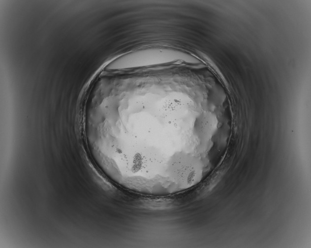 X0000086780851200705041526