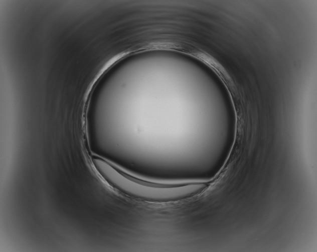 X0000086780852200705041526