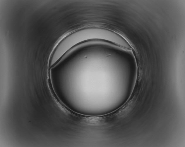 X0000086780853200705041526