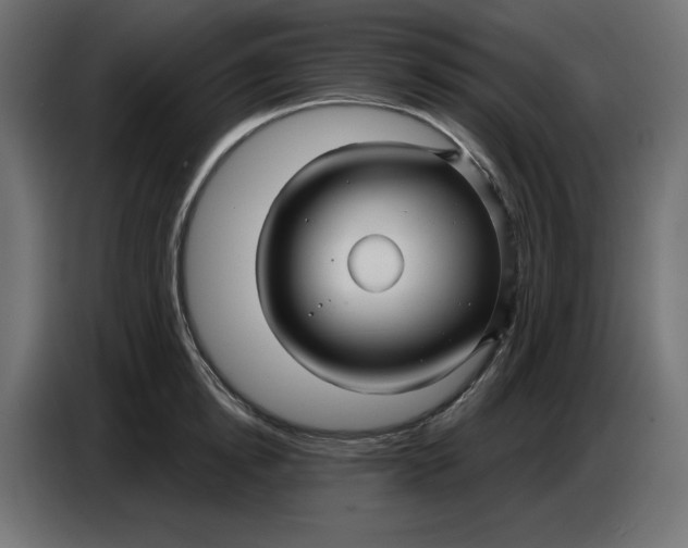 X0000086780854200705041526