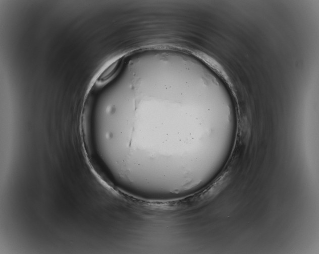 X0000086780855200705041526