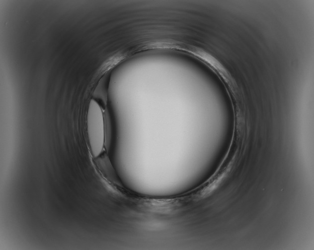 X0000086780857200705041527