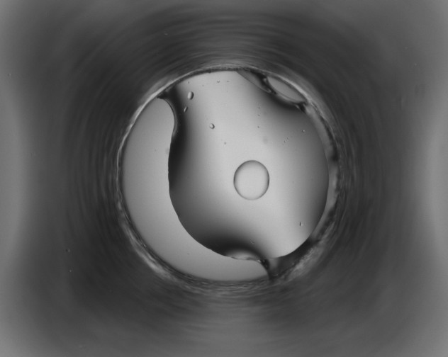 X0000086780858200705041527