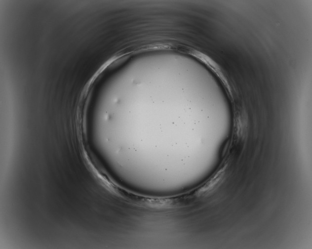 X0000086780859200705041527