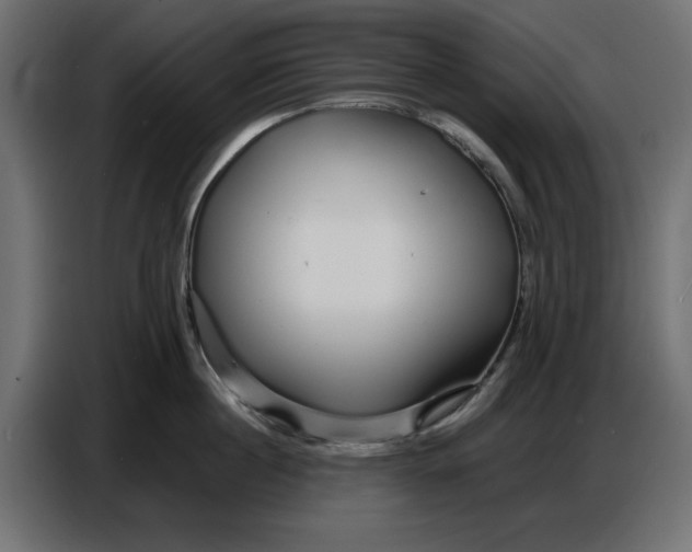 X0000086780860200705041527