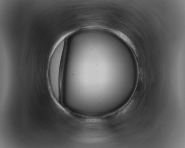 X0000086780863200705041527