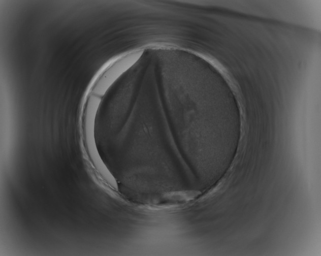 X0000086780864200705041527