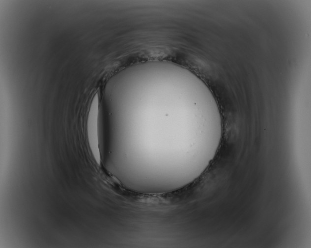 X0000086780866200705041526