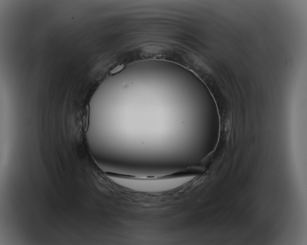 X0000086780868200705041526