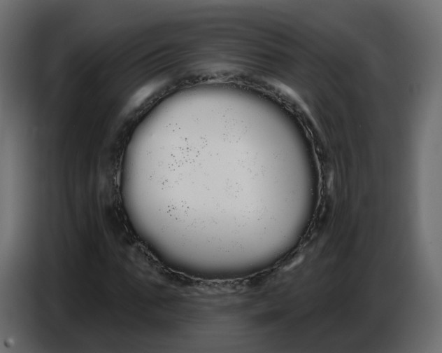 X0000086780871200705041526