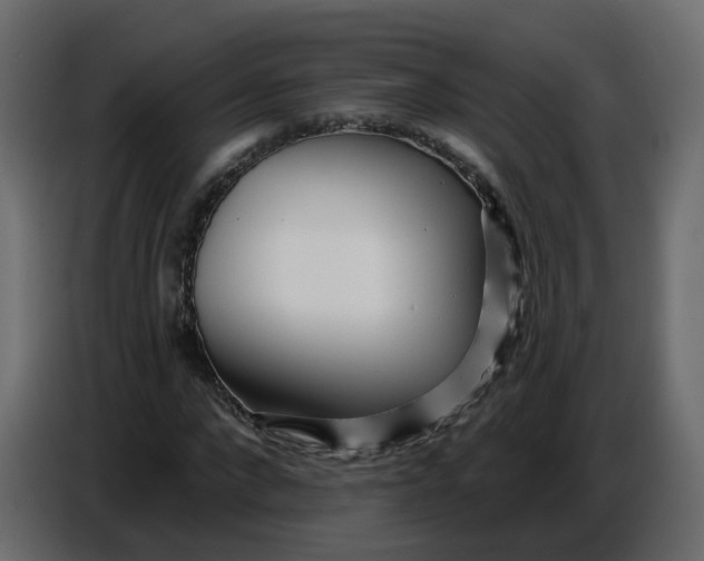 X0000086780872200705041526