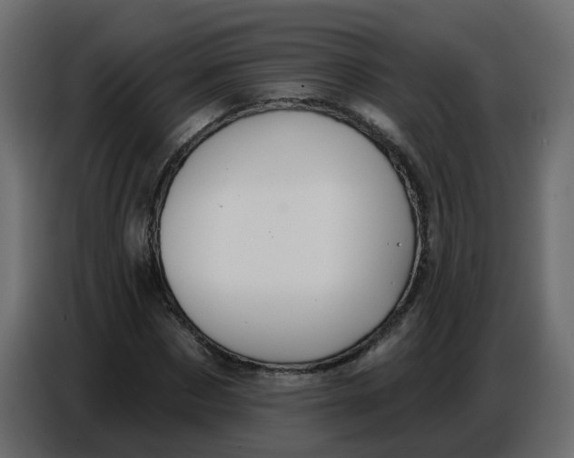 X0000086780873200705041526