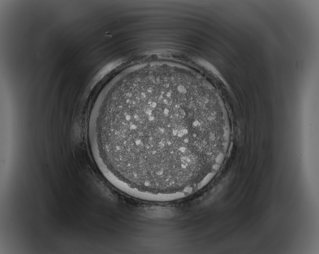 X0000086780874200705041526