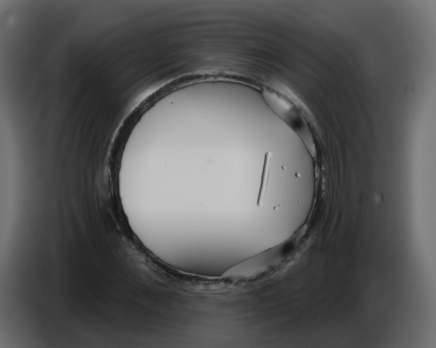 X0000086780876200705041526