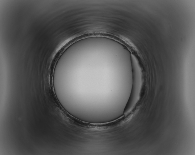 X0000086780877200705041526