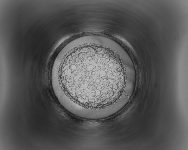 X0000086780878200705041526