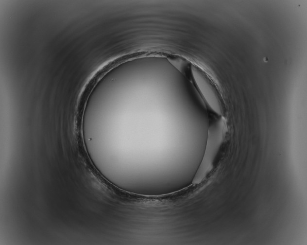 X0000086780880200705041526