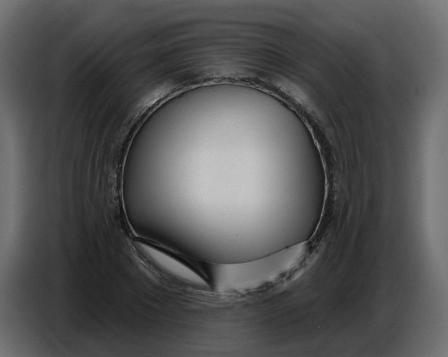 X0000086780881200705041526