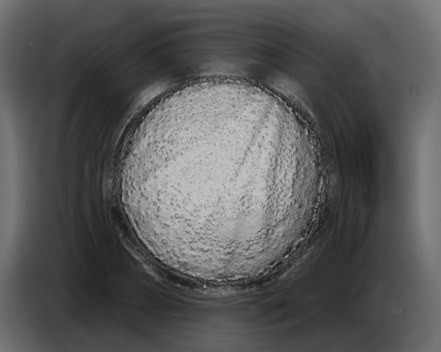 X0000086780882200705041526