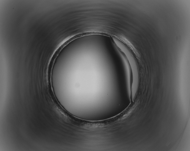 X0000086780884200705041526