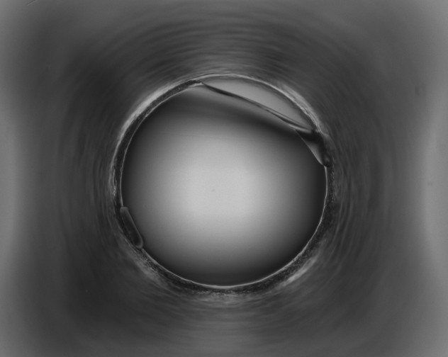 X0000086780885200705041526