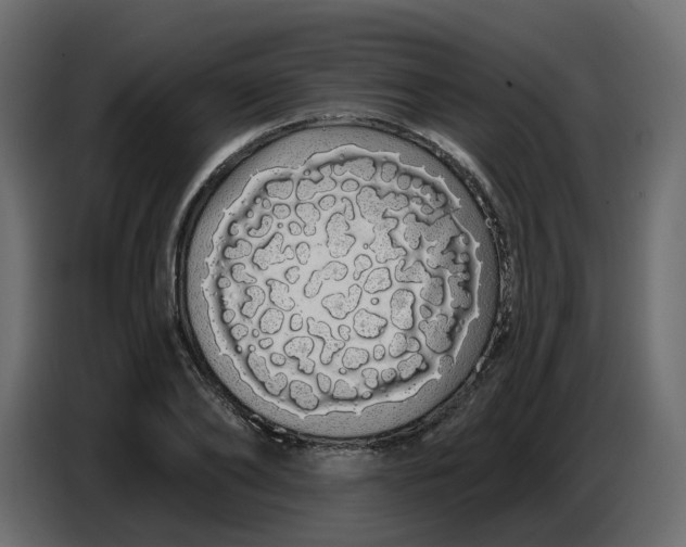 X0000086780886200705041526