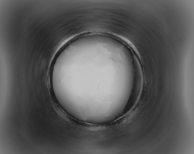 X0000086780887200705041526