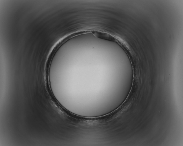 X0000086780888200705041526