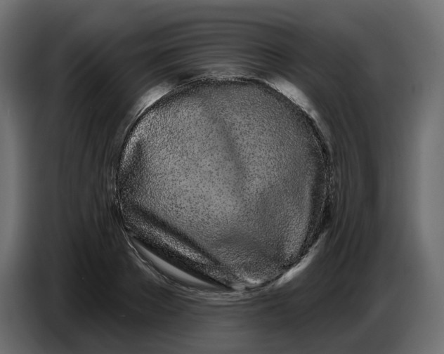 X0000086780889200705041526