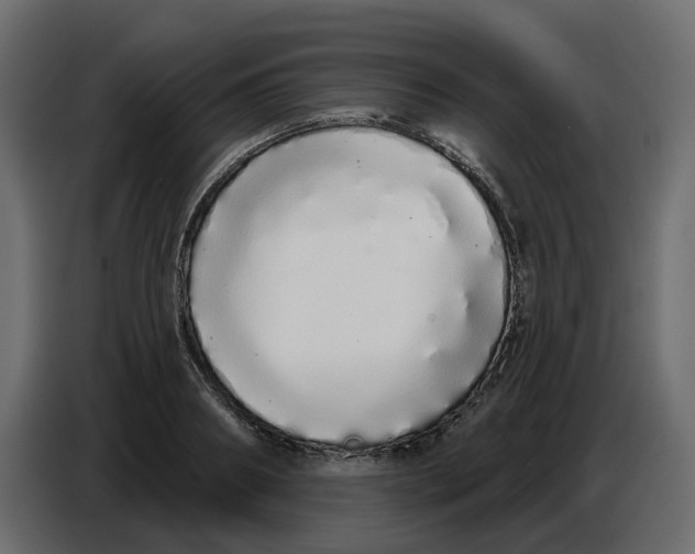 X0000086780890200705041526