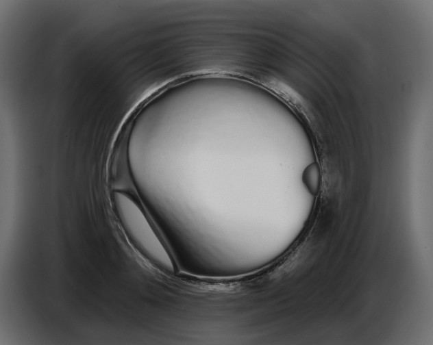 X0000086780892200705041526