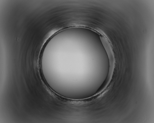 X0000086780893200705041526