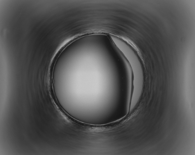 X0000086780894200705041526