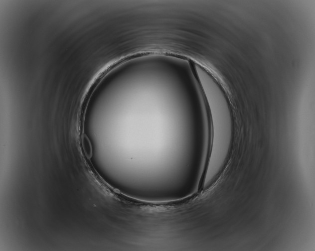 X0000086780896200705041526